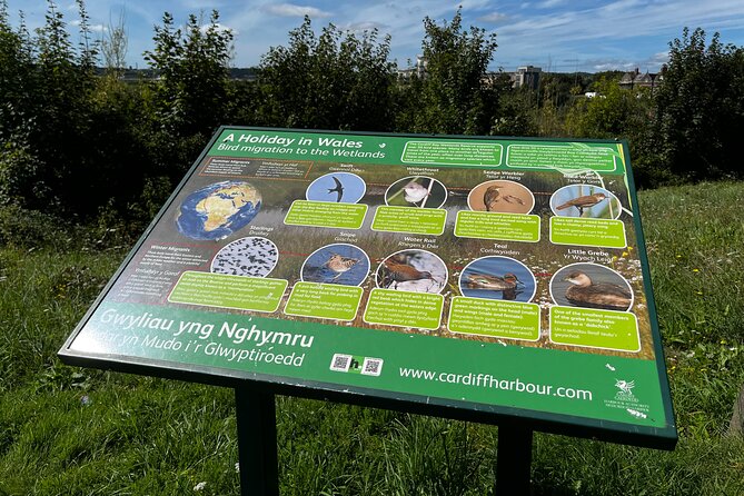 Cardiff Bay Private Self-Guided Tour - The Boardwalk and Ianto’s Shrine Under Mermaid Quay