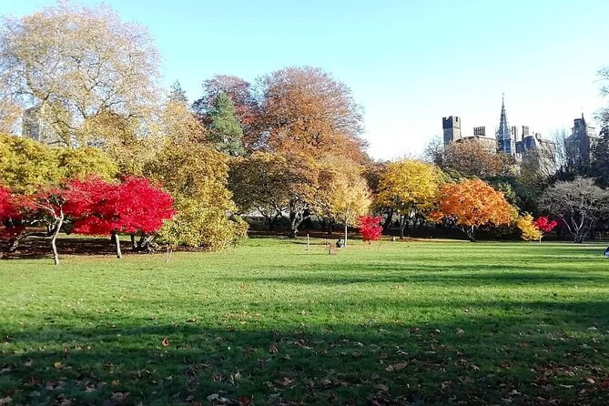 Cardiff City Private Guided Walking Tour - Stop 5: Cooper’s Field and the parklands connection you might miss