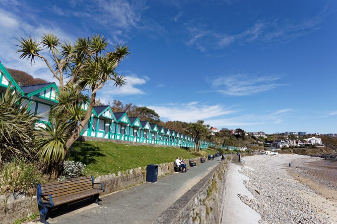 Cardiff: Gower Peninsula's Cliffs Scenic Day Tour - Price and value: is $120.65 worth it for Gower cliffs and bays?