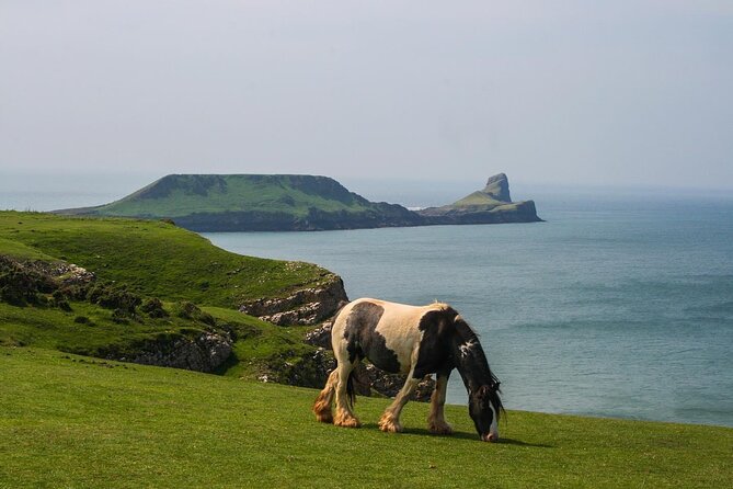 Cardiff: Gower Peninsula's Cliffs Scenic Day Tour - Mumbles Pier and Bracelet Bay: the lighthouse on an islet