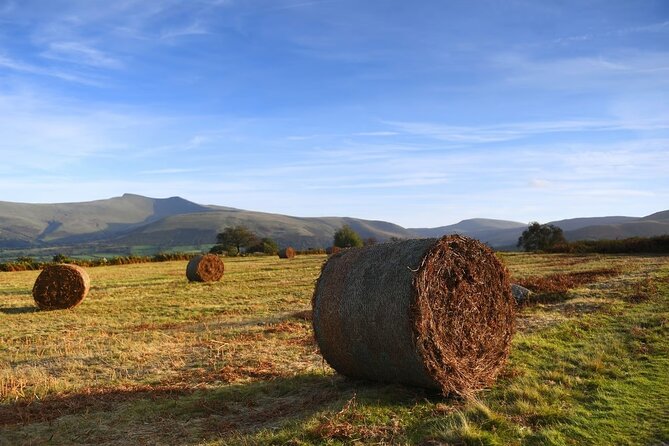 From Cardiff: The Valleys Heritage And South Wales Landscapes - Key highlights worth planning for