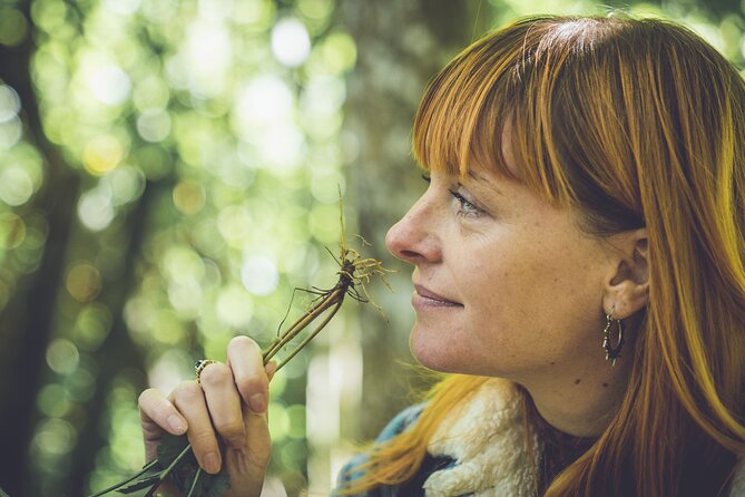 Learn to forage in Llangollen - Key things to know before you go