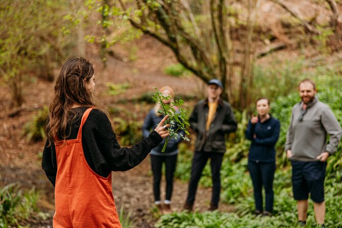 Learn to forage in Llangollen - What you learn: edible, medicinal, and fungi basics