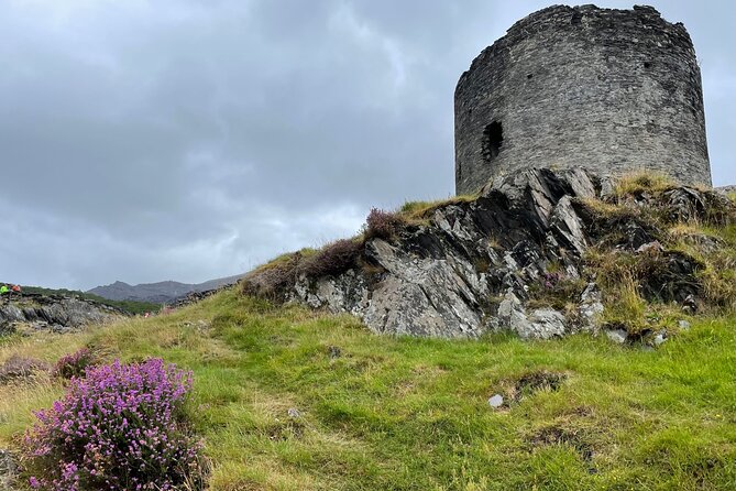 Private North West Wales Portmerion and Castles - Price and Value: Is $530.51 Per Person Fair?
