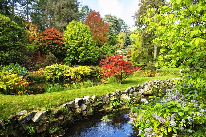 Private Snowdonia, Bodnant Gardens & Castles Tour - Great Orme: The Sea-Edge Road, Views, and Wild Goats