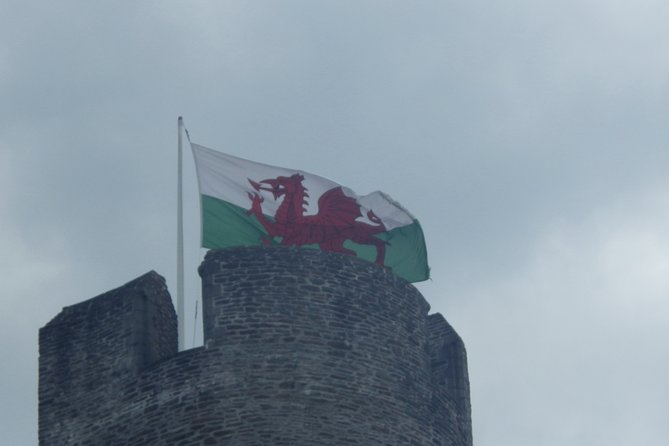 Sightseeing Tour Cardiff Bay and Vale of Glamorgan Full-Day Driver Guided - Starting at Central Station makes the day feel calm