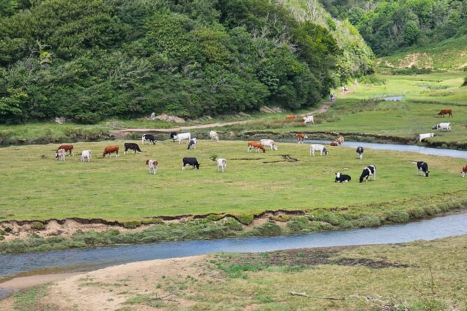 Three Cliffs Bay Circular Walk Gower Peninsula - A coastal walk that strings together the best viewpoints