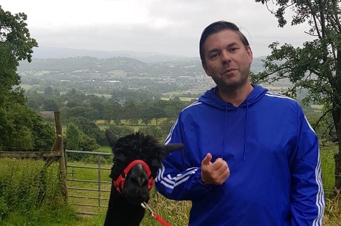 Walking with Alpacas - Weather and timing: why you should not plan this too tightly